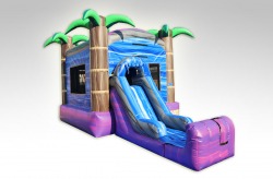 Mini20Purple20Crush20Combo2020front20side20view202 84993 1 ROYAL CRUSH COMBO (C36)