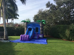 Purple20Cruch20Combo20live202 982247195 ROYAL CRUSH COMBO (C36)