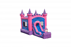 Royal20Princess20dry 1617295593 PRINCESS DELIGHT Combo (C35)