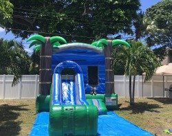 TROPICAL20COMBO20LIVE 255895053 TROPICAL COMBO (C39)